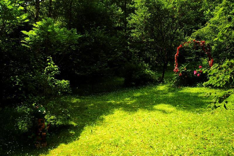 Raj Muszyna Apartamenty Z Widokiem Na Panorame Gorska 외부 사진