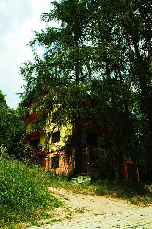 Raj Muszyna Apartamenty Z Widokiem Na Panorame Gorska 외부 사진